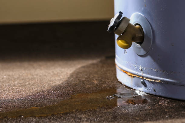 Best Commercial water damage restoration  in Tecumseh, MI