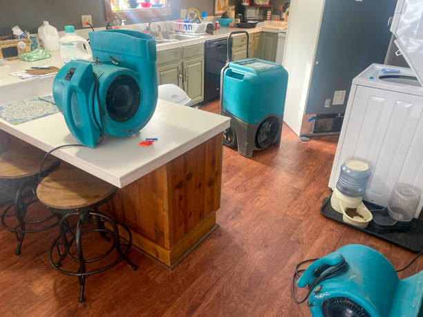 Best Water damage restoration near me  in Tecumseh, MI