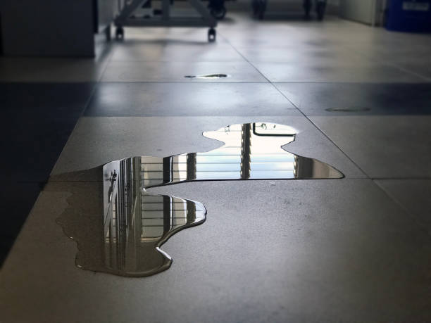 Best Emergency water damage restoration  in Tecumseh, MI
