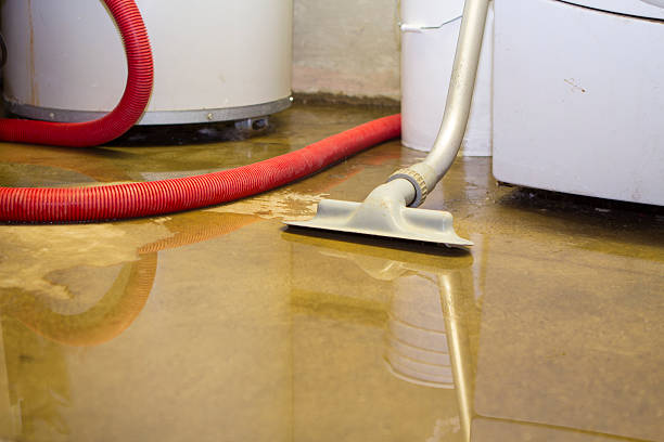  Tecumseh, MI Water damage restoration Pros