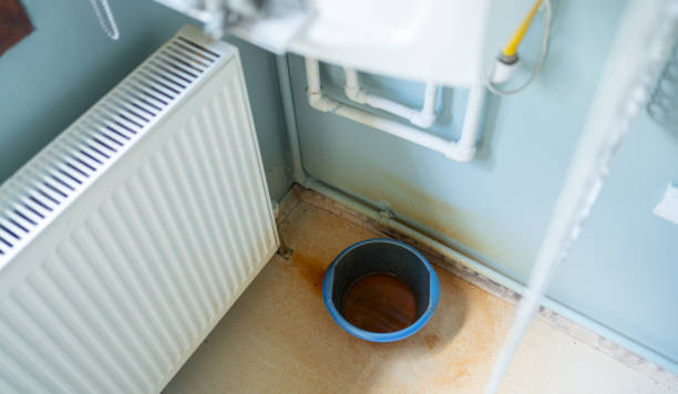 Best Local water damage restoration  in Tecumseh, MI