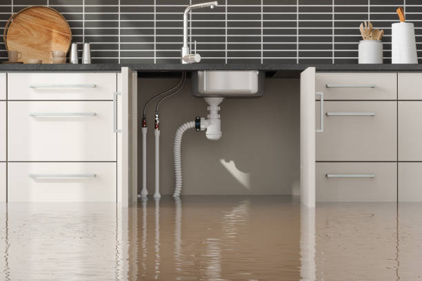 Best Water damage restoration specialists  in Tecumseh, MI