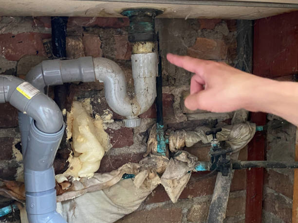 Reliable Tecumseh, MI Water damage restoration Solutions