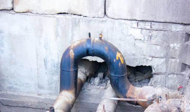 Best Water damage cleanup near me  in Tecumseh, MI