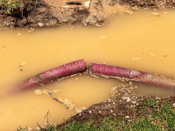 Carpet water damage restoration in Tecumseh, MI
