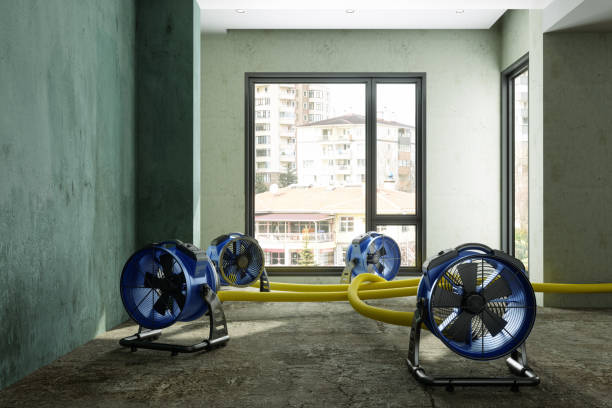 Best Water damage contractors near me  in Tecumseh, MI